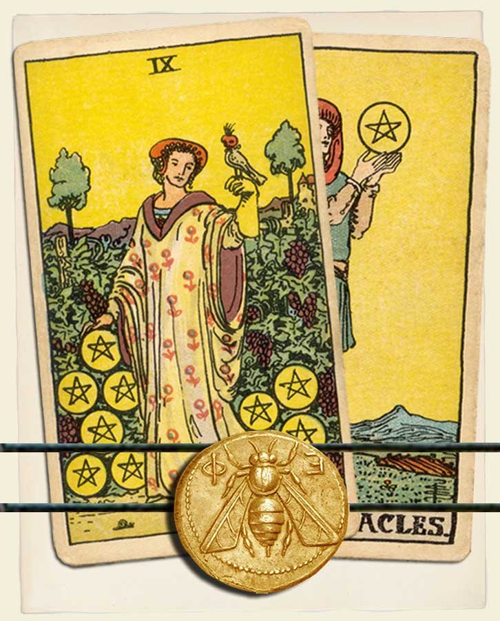 Nine Of Pentacles And Page Of Pentacles Combination Reading With