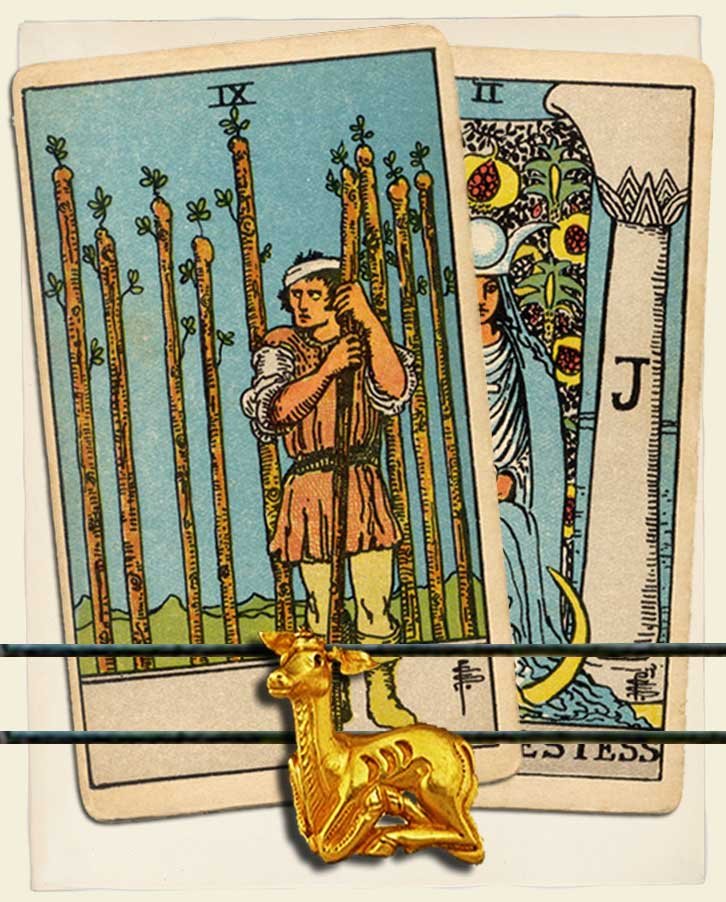 Nine Of Wands And The High Priestess Combination Reading With Insights