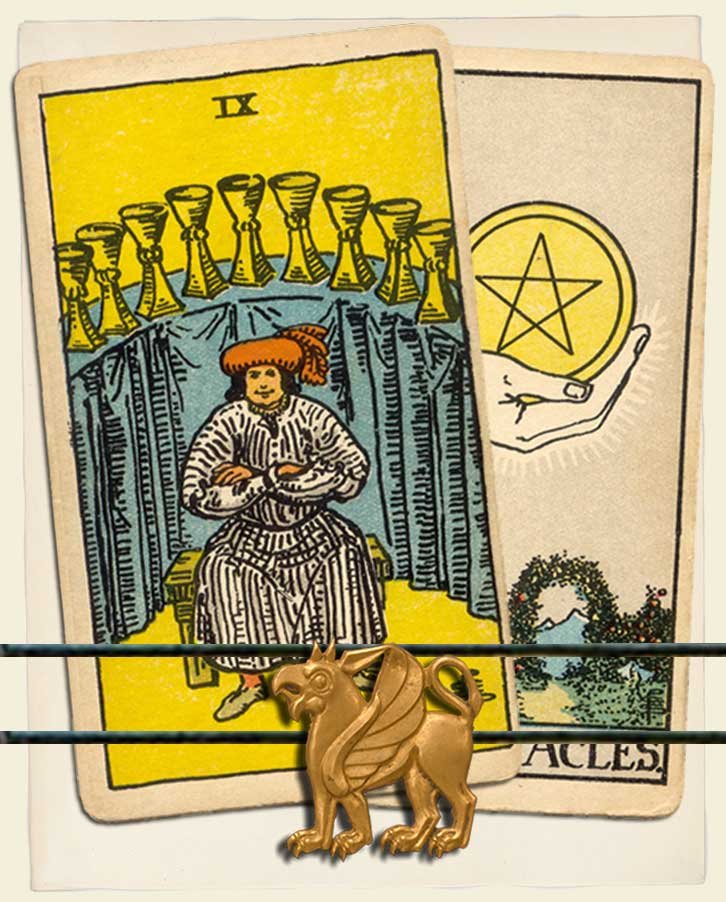 Nine of Cups and Ace of Pentacles Combination Reading (with insights ...