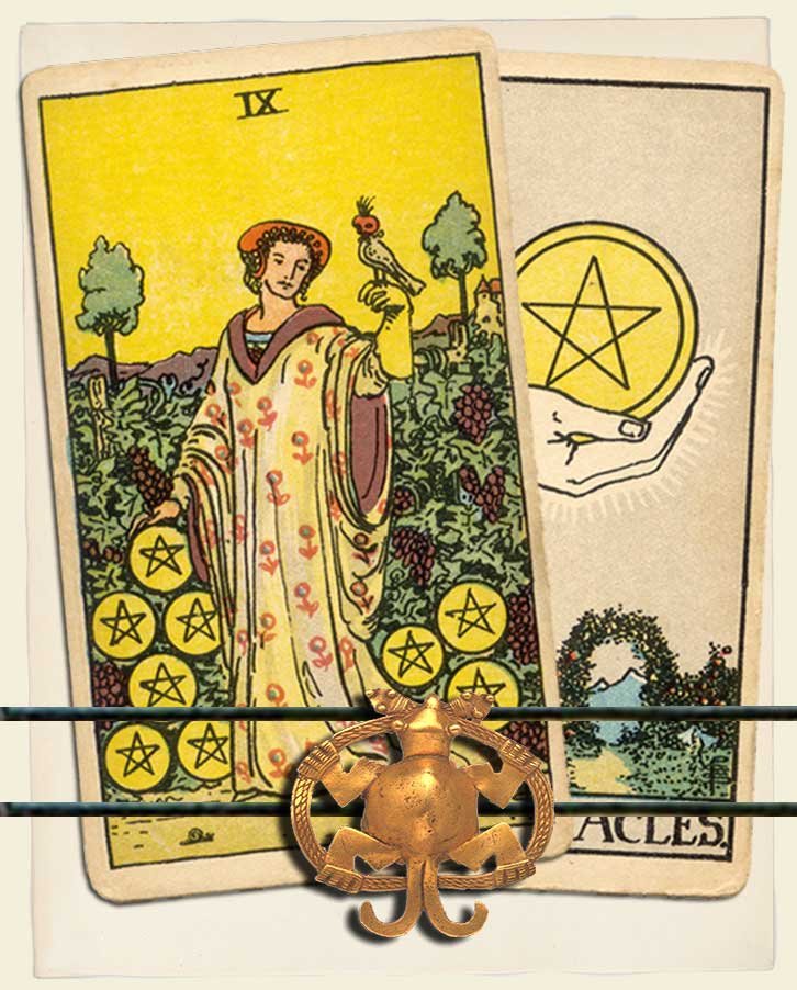 Nine of Pentacles and Ace of Pentacles Combination Reading (with ...