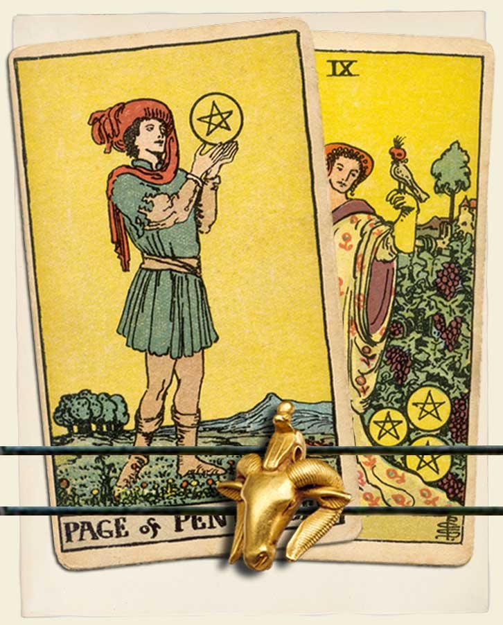 Page of Pentacles and Nine of Pentacles Combination Reading (with ...